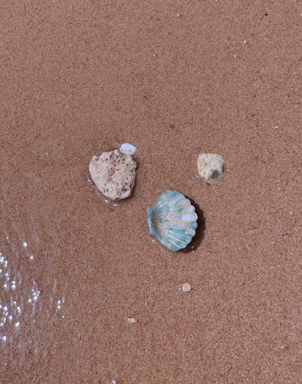 Reverie Hair - Shell Clips / Turquoise / Hair Clips